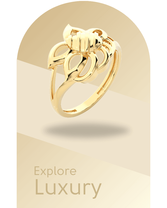 Luxury Earrings